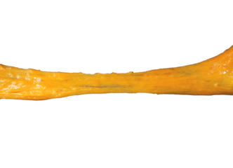 Stretching cheese isolated. Ingredient preparation for design. Melting cheese.	