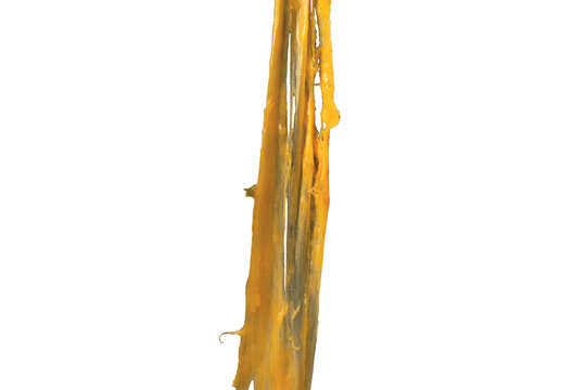 Stretching cheese isolated. Ingredient preparation for design. Melting cheese.	