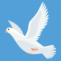 Pigeon animation. Bird motion wings in heaven. Flying migratory pigeon, cartoon vector illustration. Bird dove animation element