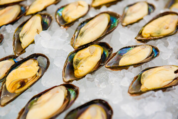 The opened mussels on ice at a seafood restaurant. 