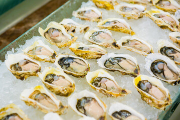 Fresh oysters on ice at a seafood restaurant. 