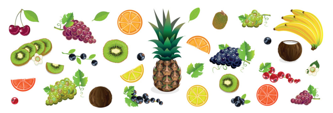 Vector set of delicious fruits and berries on a white background. Kiwi, lemon, orange, pineapple, grape, currant, red currant, black currant, blueberry, coconut, banana, cherry, berries.