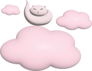 CAT SLEEPING IN PINK CLOUDS