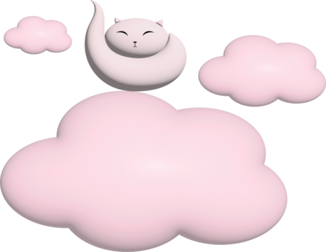 CAT SLEEPING IN PINK CLOUDS