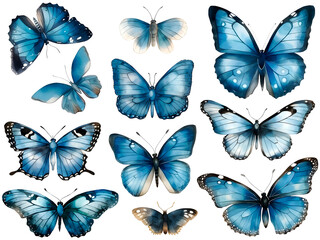 Obraz na płótnie Canvas Blue watercolor butterfly cliparts, isolated, transparent background, created with Generative AI technology