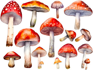 Watercolor mushroom cliparts, isolated, transparent background, created with Generative AI technology