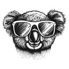 funny cool koala wearing sunglasses sketch, summer illustration © Satoru Sketches