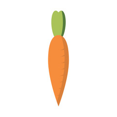 carrot icon