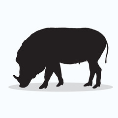 Warthog silhouettes and icons. Black flat color simple elegant Warthog animal vector and illustration.