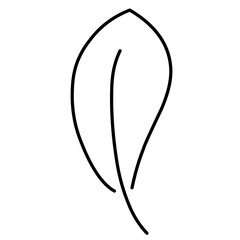 Hand Drawn Leaf Line Icon