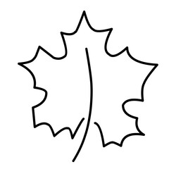 Hand Drawn Leaf Line Icon