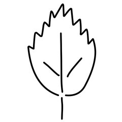 Hand Drawn Leaf Line Icon