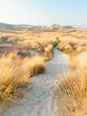 Fotobehang pad door noordzee duinen path through dunes and marram grass © Evelien