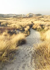 Fotobehang pad door noordzee duinen path through dunes and marram grass © Evelien