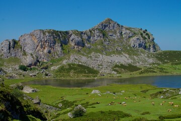 Lagos de Covadonga