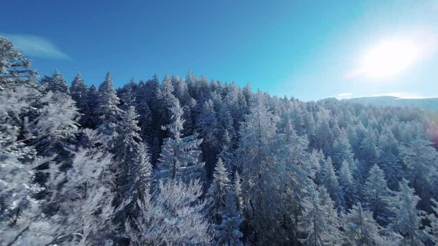 Chamrousse - Winter Landscape 22 - FPV - 4K - Color Graded.
