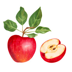 Red apple with a half. Green leaves of an apple. Suitable for design elements.Watercolor and marker illustration.