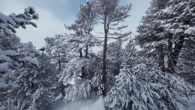 Chamrousse - Winter Landscape 26 - FPV - 4K - Color Graded