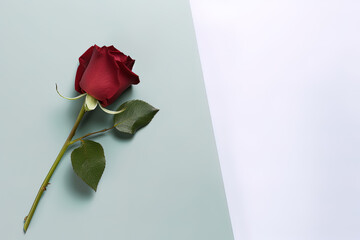 Beautiful red rose as a symbol of love on pastel background. Created with Generative AI Technology
