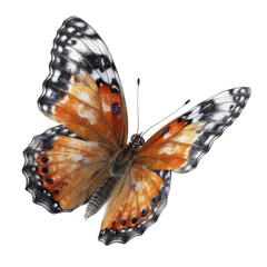 Fototapeta na wymiar Beautiful butterfly flying, close-up. Transparent isolated background. AI generated