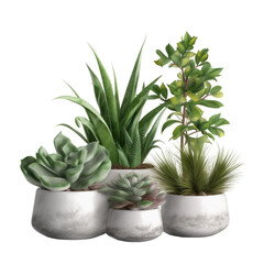 Plants in ceramic pots. Transparent isolated background. AI generated