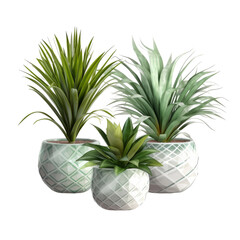 Fototapeta premium Plants in ceramic pots. Transparent isolated background. AI generated