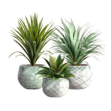 Plants in ceramic pots. Transparent isolated background. AI generated