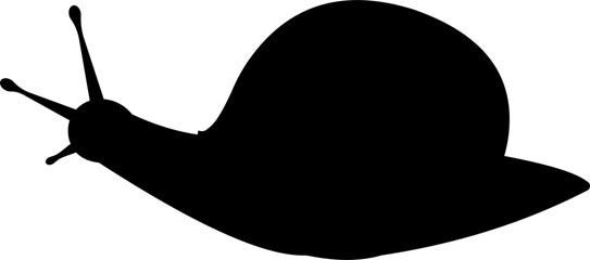 Black silhouette of a snail © A Step