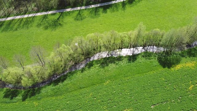 Drohne fliegt &uuml;ber Bach in Feuchtwiese mit Auwald im Fr&uuml;hling, Luftaufnahme