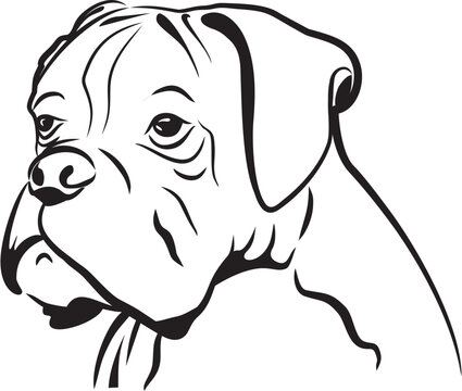 Silhouette head of a boxer dog. Hand drawing vector isolated dog icon. 
