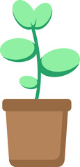 Tree in pot houseplant icon PNG