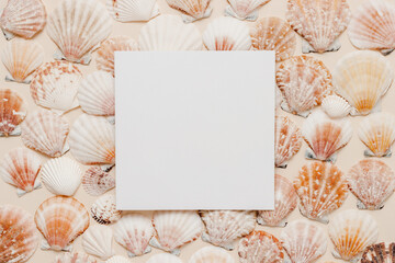 Paper sheet card on seashells background top view. Summer minimal paper card background for design,...