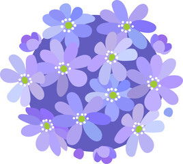 Small Bouquet of blue violet spring blooming wild forest flowers Hepatica