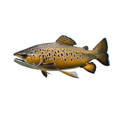 Trout, isolated, transparent background, no background. Generative AI.