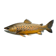 Trout, isolated, transparent background, no background. Generative AI.