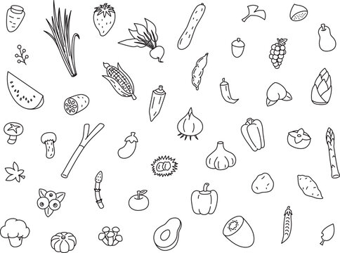 野菜の壁紙線画イラスト