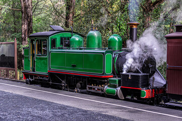 Green Puffing Billy