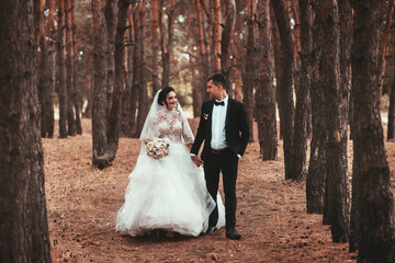 A stylish groom in a black suit and a beautiful young bride in a white long dress with a diadem are...