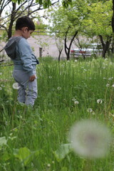 boy looking at the grass