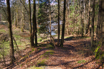 Wanderweg am Kalkbach zur Talsperre Burgkhammer, Saale Stausee, Schleiz, Th&uuml;ringen, Deutschland	