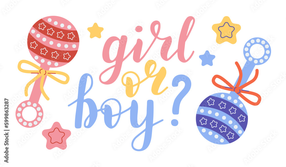 Wall mural girl or boy, lettering written with elegant calligraphic font and decorated with rattle. gender part