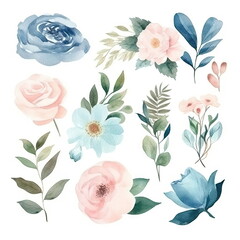 Watercolor floral illustration bouquet set collection, wedding stationary, flower background