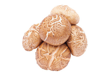 Cutout fresh shiitake mushrooms.