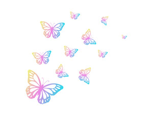 butterflies and flowers
