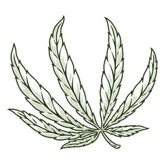 Marihuana leaf detailed emblem monochrome