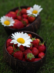 Truskawki z rumiankiem