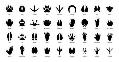 Animals footprints. Prints animal bird paw, wildlife foot icon, domestic pets footstep silhouette, print hoofed feet, black amphibia feet track vector set - obrazy, fototapety, plakaty