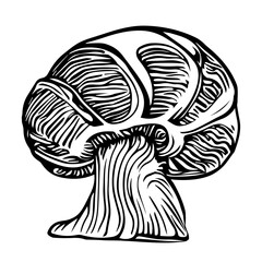 Black hand-drawn vector illustration of One fresh mushroom isolated on a white background