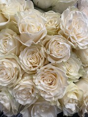 White roses