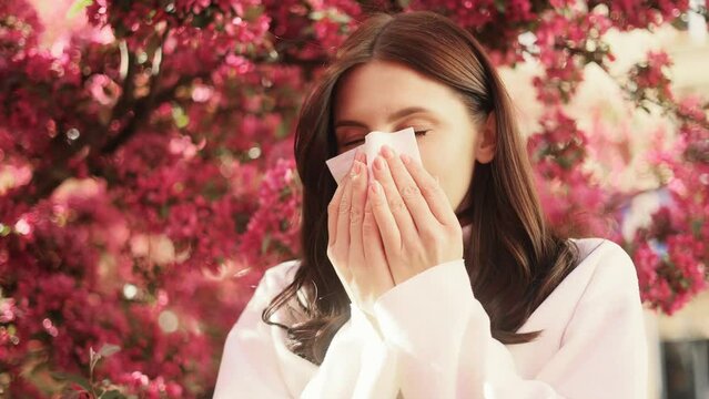 Portrait of allergic unhealthy sick young dark haired woman sneezing in tissue blowing running nose with seasonal allergy symptoms on pink flowers blossom trees background 